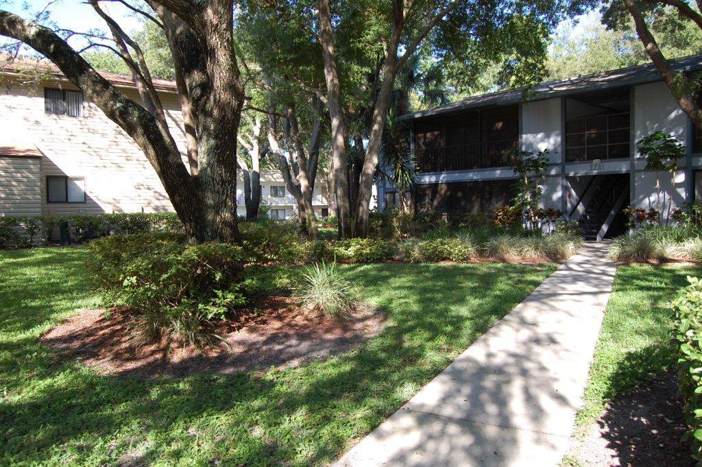 3241 Fox Chase Cir. #203, Palm Harbor, FL 34683