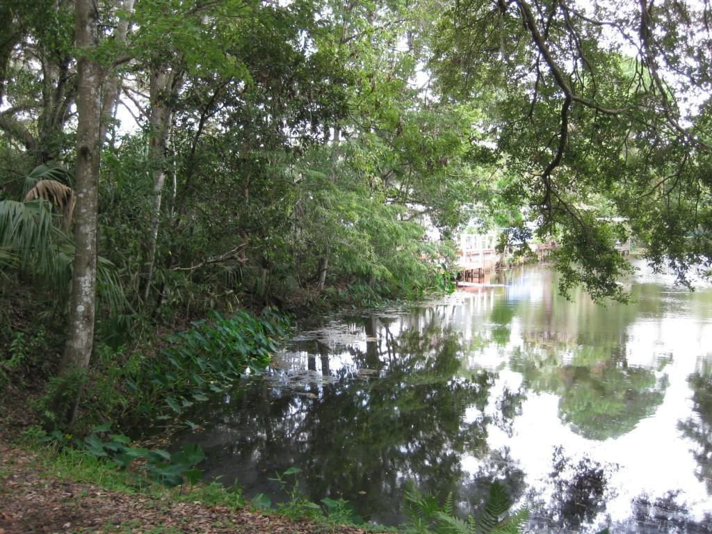 [Address Hidden by Seller], Weeki Wachee, FL 34614