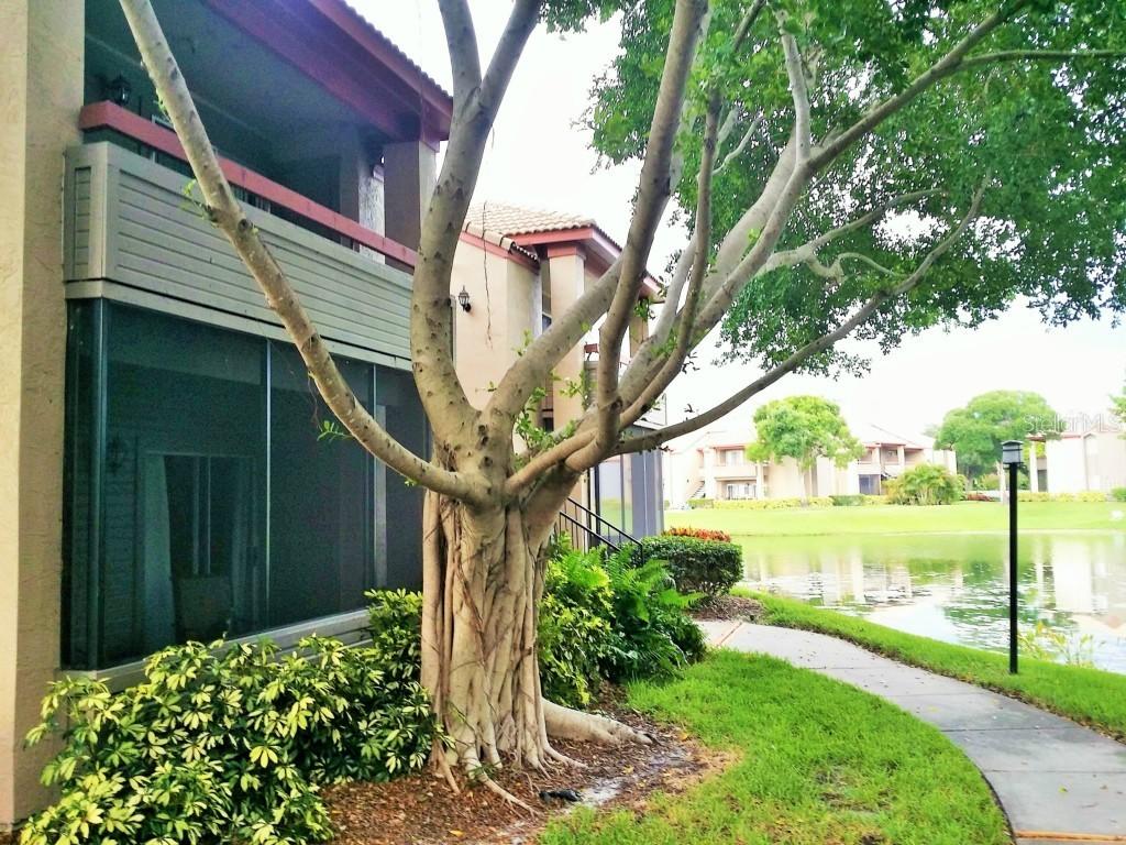 10263 Gandy Blvd. #1906, St Petersburg, FL 33702