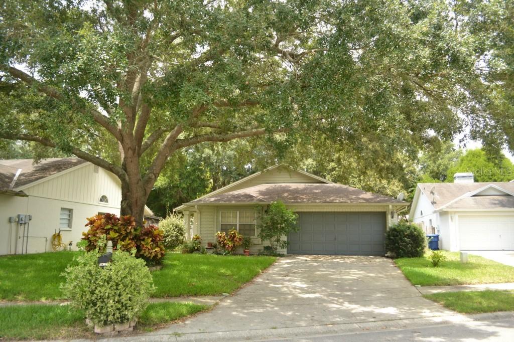 1769 Tinsmith Cir., Lutz, FL 33559