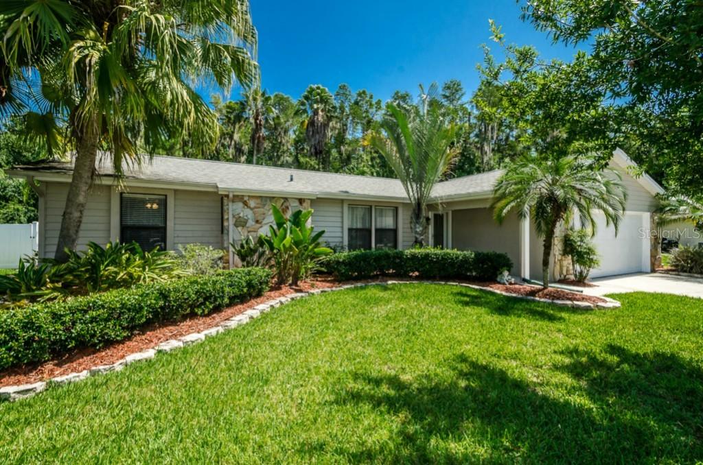 641 Satinleaf Ave., Oldsmar, FL 34677