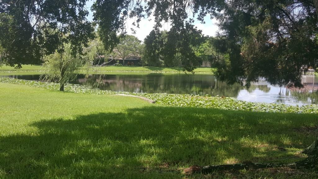 9880 Lake Seminole Dr., Largo, FL 33773