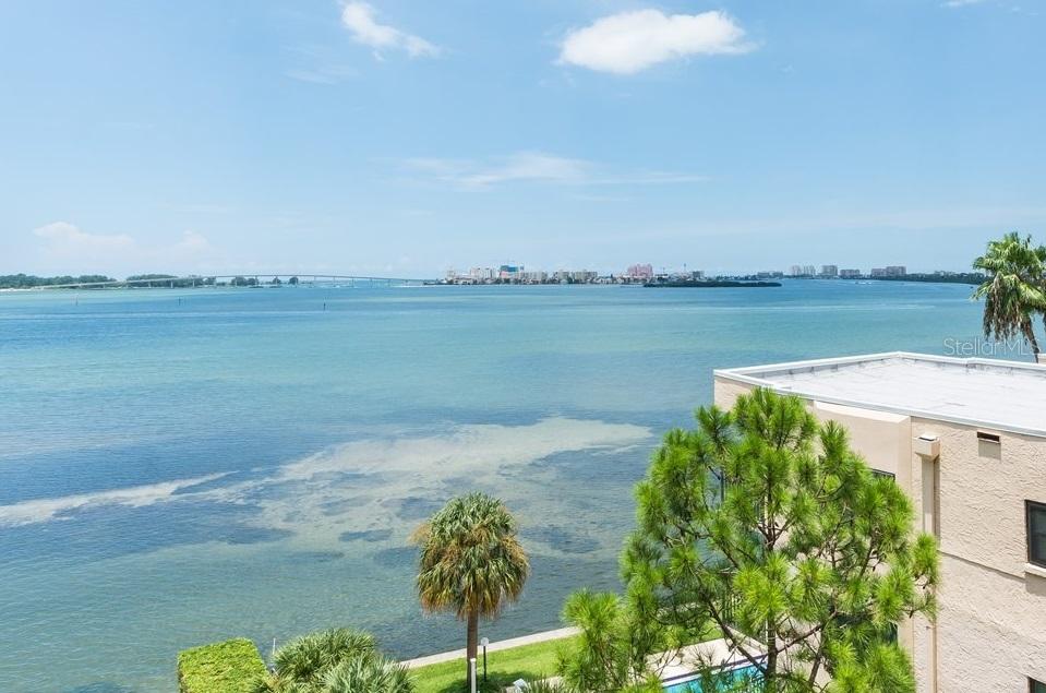 602 Lime Ave. #503, Clearwater, FL 33756