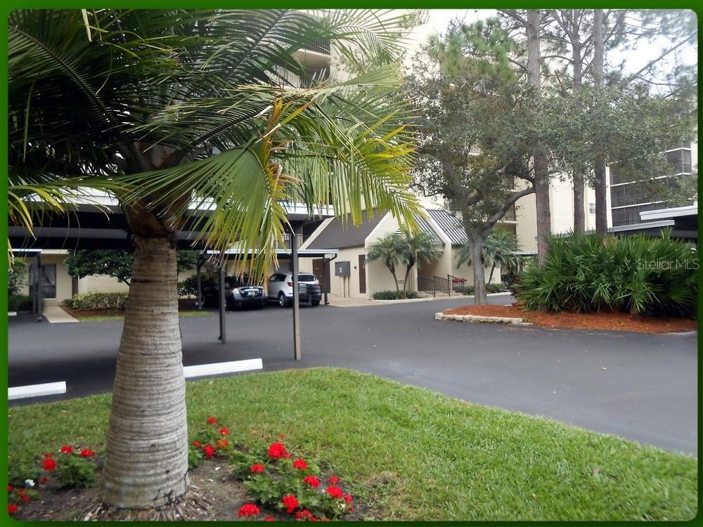 2700 Cove Cay Dr. #3D, Clearwater, FL 33760