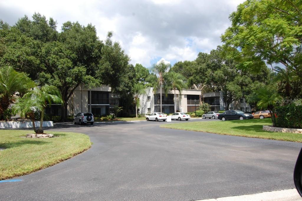 2375 Fox Chase Blvd. #247, Palm Harbor, FL 34683
