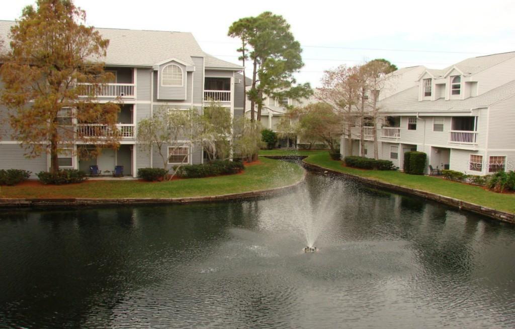 6826 Stones Throw Cir. #11305, St Petersburg, FL 33710