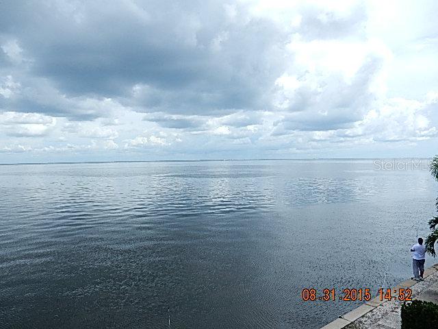 4730 Coquina Key Dr. #D, St Petersburg, FL 33705