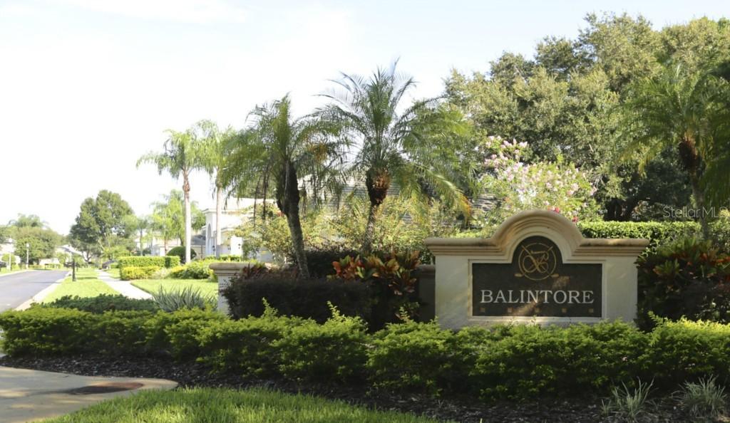 4402 Sawgrass Dr., Palm Harbor, FL 34685