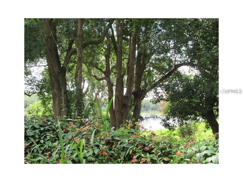 4242 Riverside Park Rd., Orlando, FL 32810
