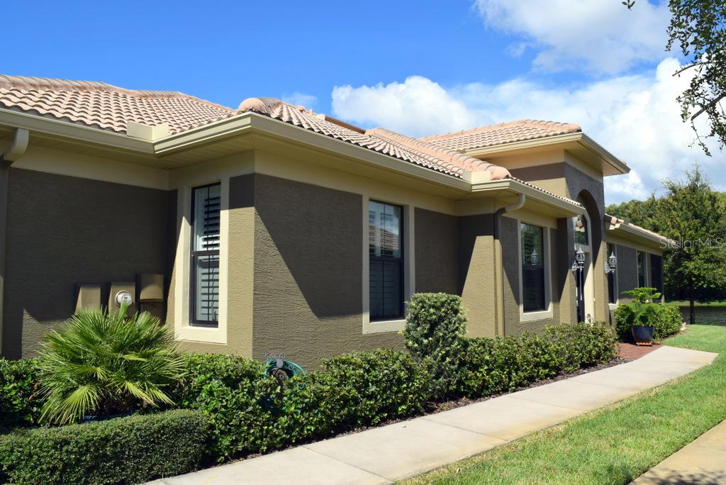 4801 Michelle Ln., Palm Harbor, FL 34684