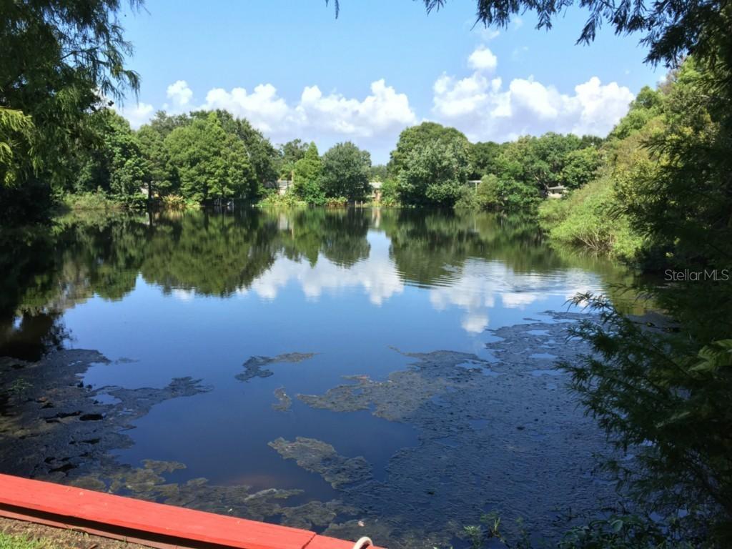 8641 Flamevine Ave., Largo, FL 33777