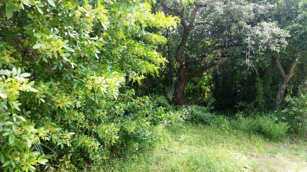 Silver Spur Dr., Holiday, FL 34690