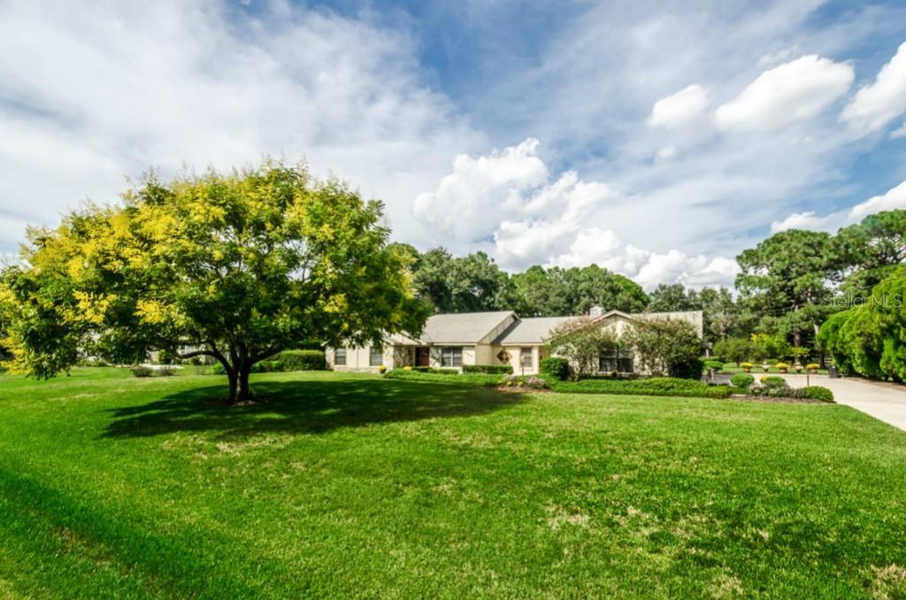 6355 Governors Dr., New Port Richey, FL 34655