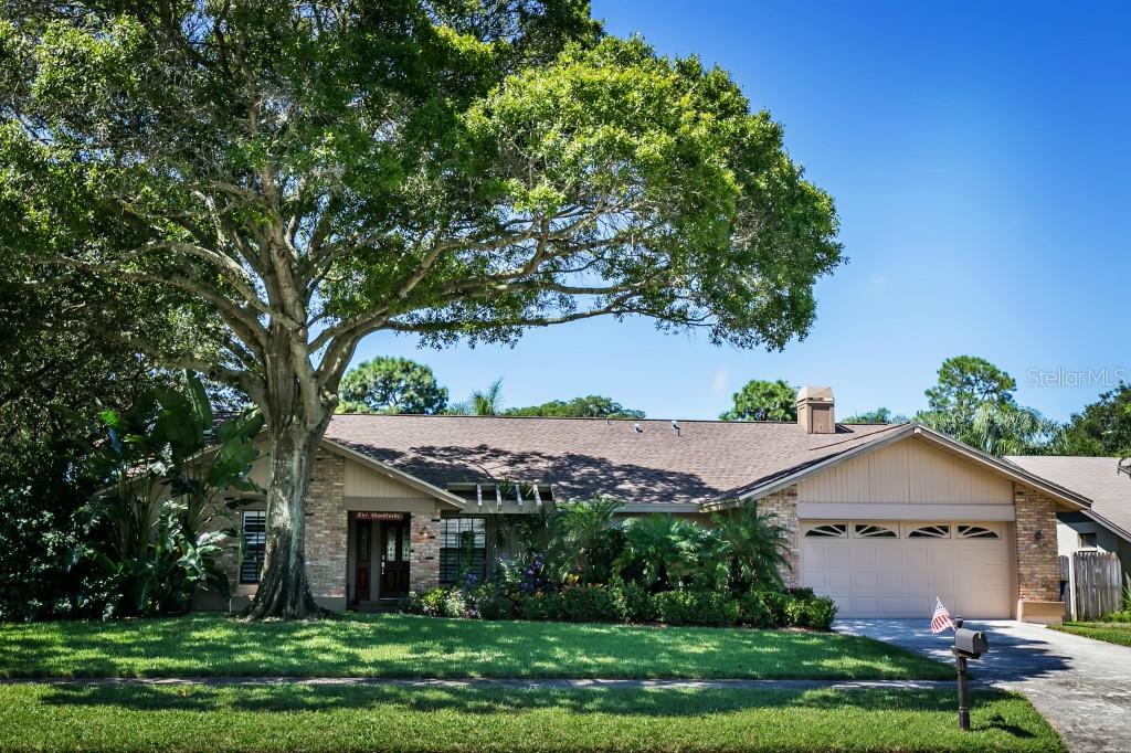 2838 Allapattah Dr., Clearwater, FL 33761