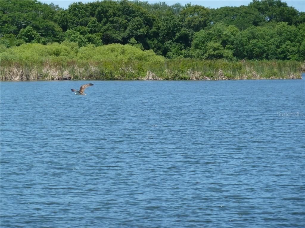 2070 Lakeview Dr. #203, Clearwater, FL 33763