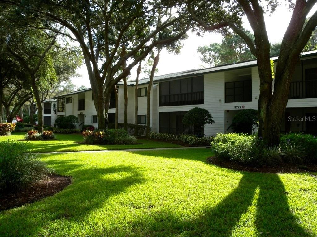 3277 Fox Chase Cir. #206, Palm Harbor, FL 34683