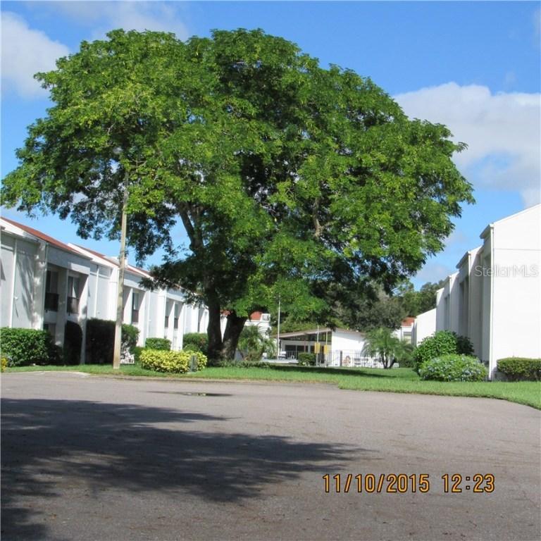 2060 Marilyn St. #223, Clearwater, FL 33765