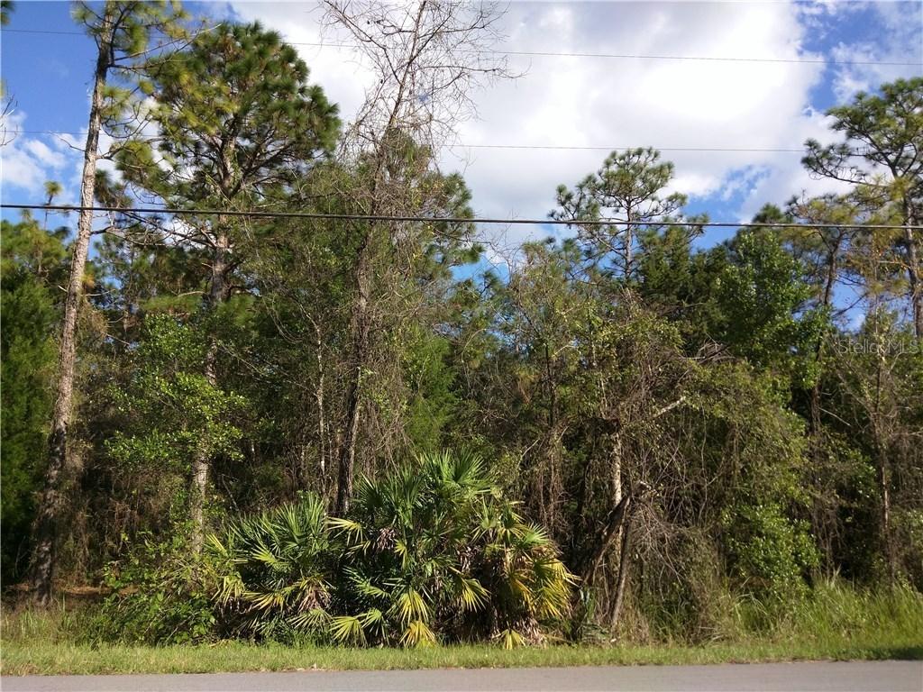 Mullins Rd., Brooksville, FL 34604
