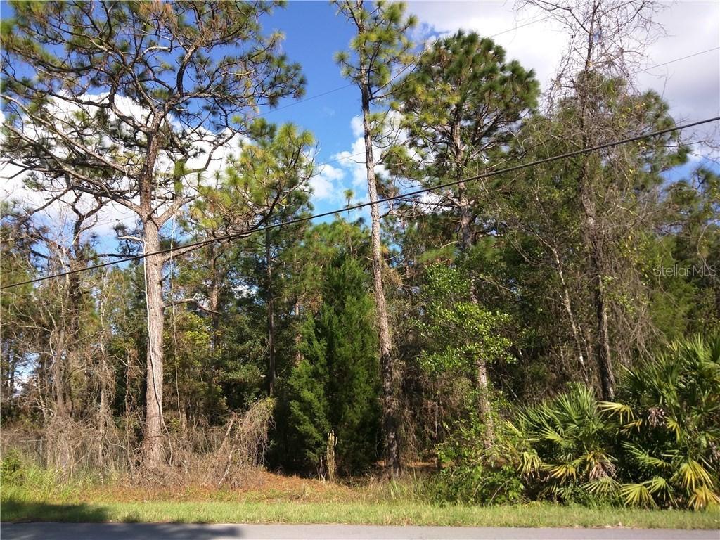 Mullins Rd., Brooksville, FL 34604