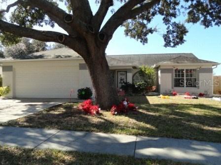 1719 Bell Ranch St., Brandon, FL 33511