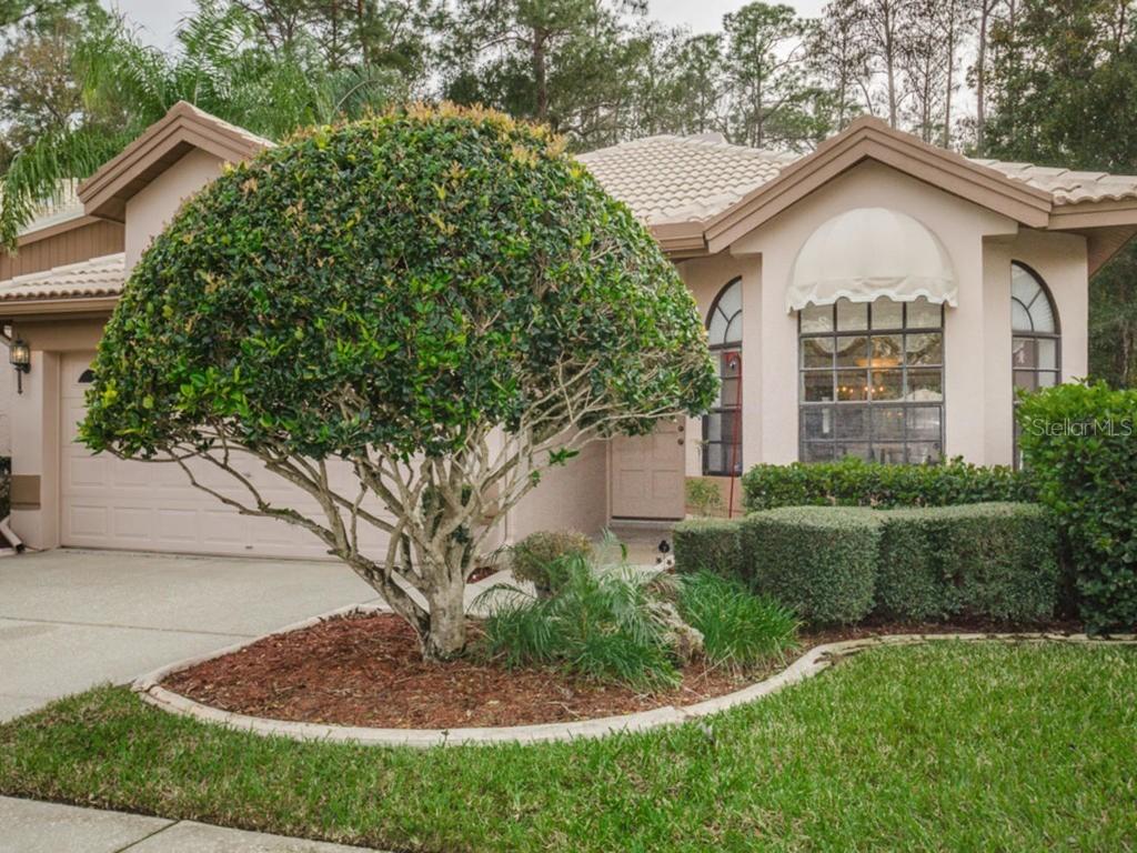 3642 Darston St., Palm Harbor, FL 34685