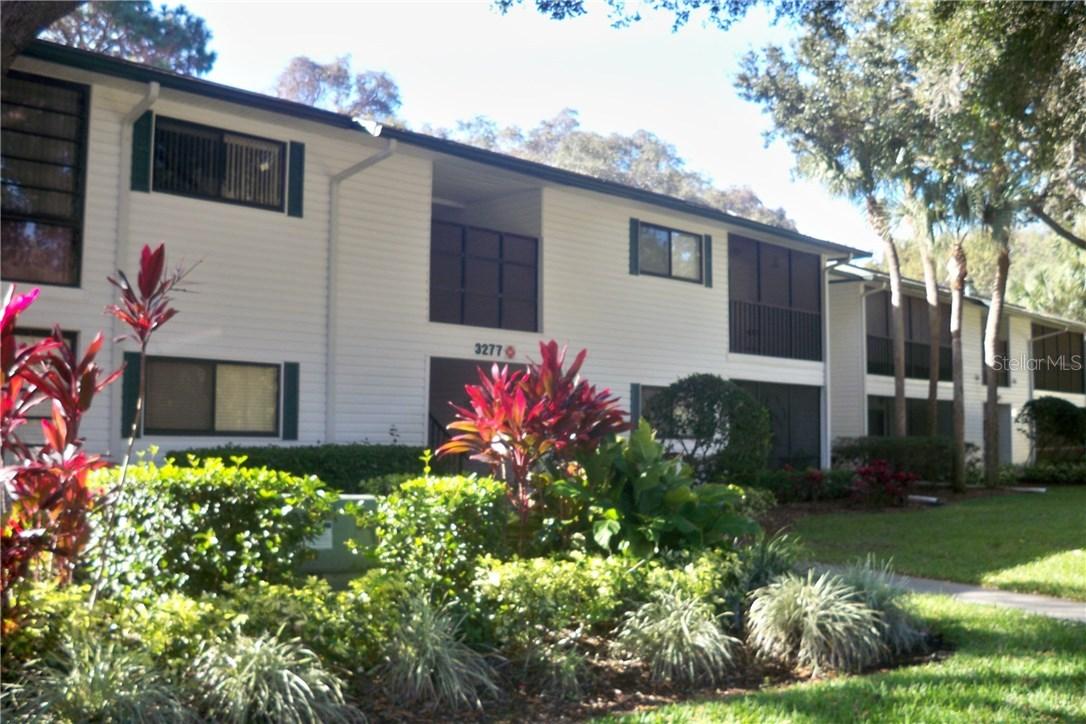 3277 Fox Chase Cir. #207, Palm Harbor, FL 34683