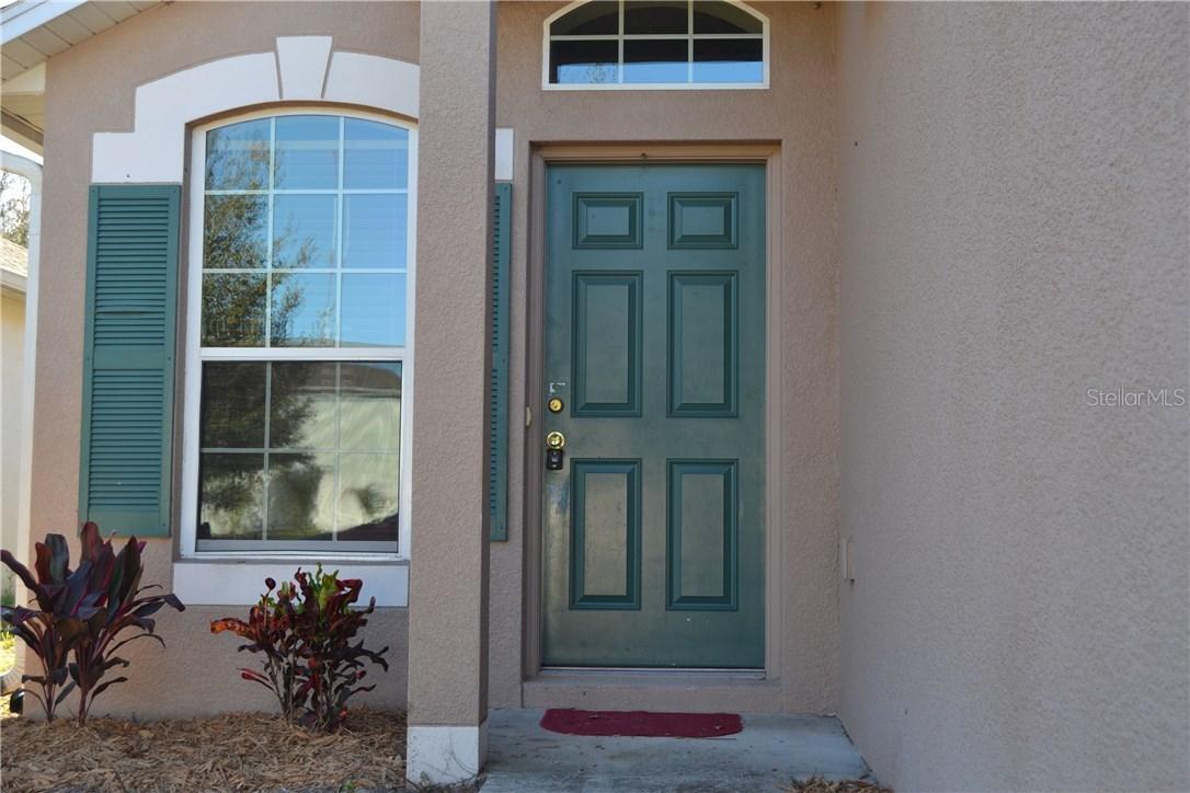 17034 Lixberry Way, Land O Lakes, FL 34638