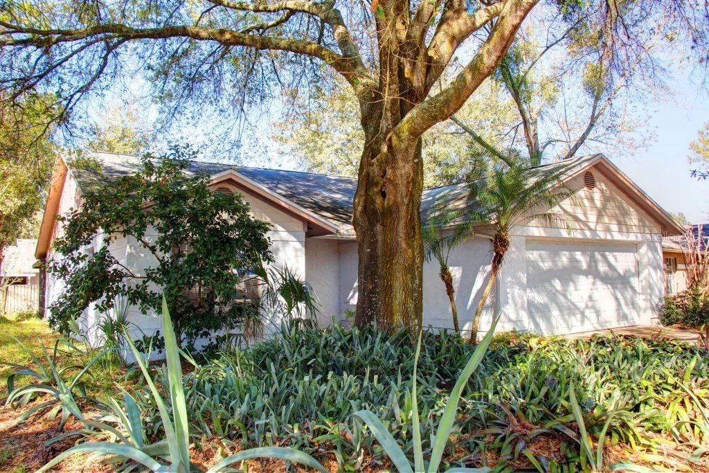 1533 Gunsmith Dr., Lutz, FL 33559