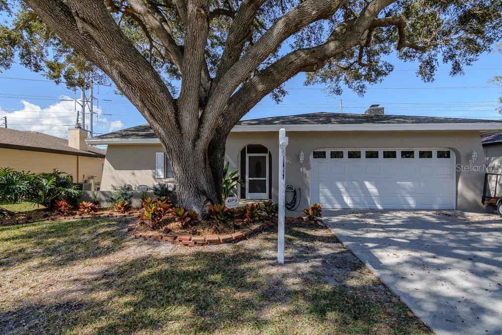 1670 Citrus Hill Ln., Palm Harbor, FL 34683