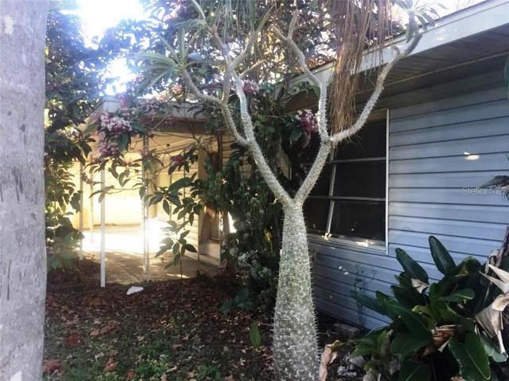 10369 106th Ter., Largo, FL 33773