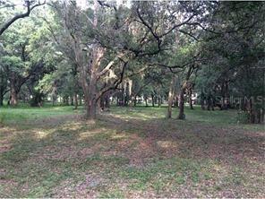 Bay Dr., Tampa, FL 33635