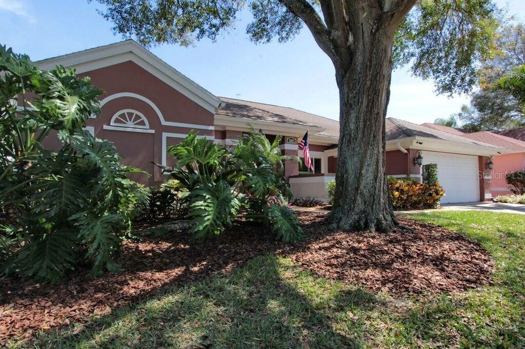 3085 Regal Oaks Blvd., Palm Harbor, FL 34684