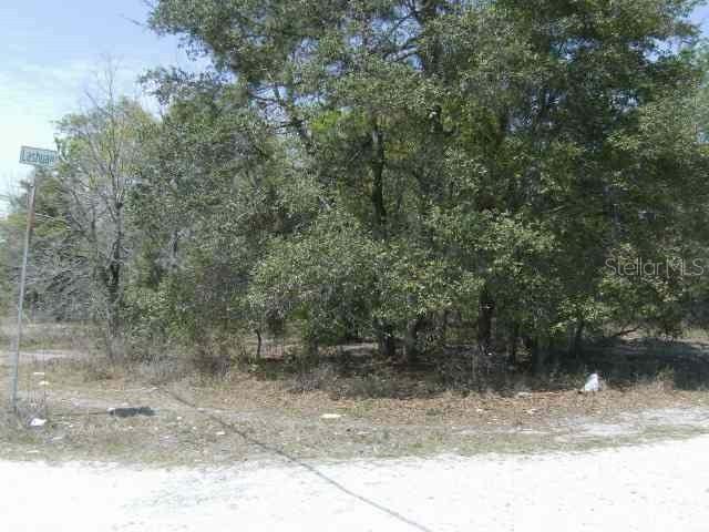 Coastal Plain Dr., Shady Hills, FL 34610