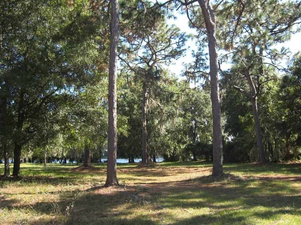 1904 Chesapeake Dr., Odessa, FL 33556