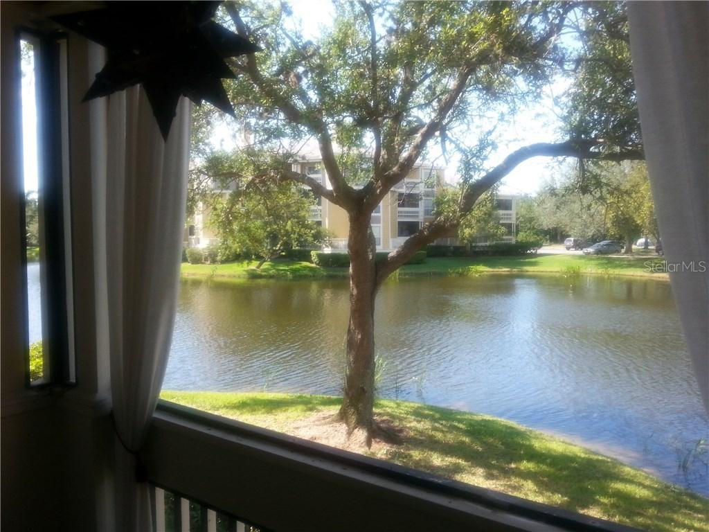 115 112th Ave. #104, St Petersburg, FL 33716