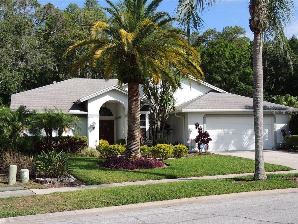 3346 Wedgewood Way, Tarpon Springs, FL 34688