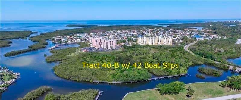 4520 Seagull Dr., New Port Richey, FL 34652