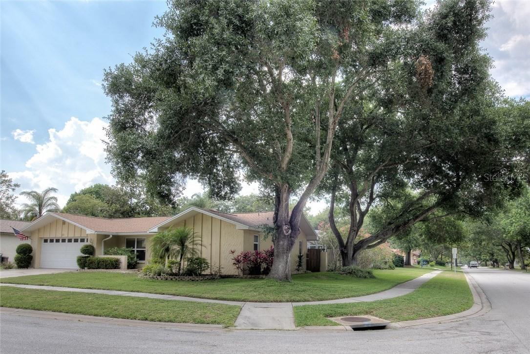 101 Chestnut Cir., Safety Harbor, FL 34695