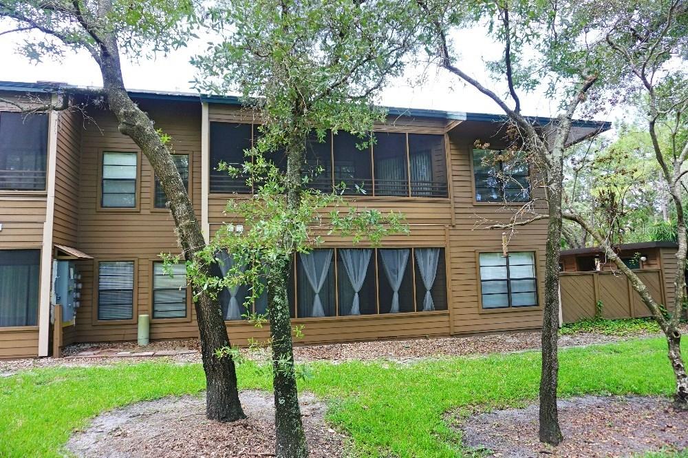 308 Lennox Rd., Palm Harbor, FL 34683