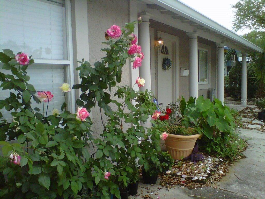 8068 22nd Ave., St Petersburg, FL 33710