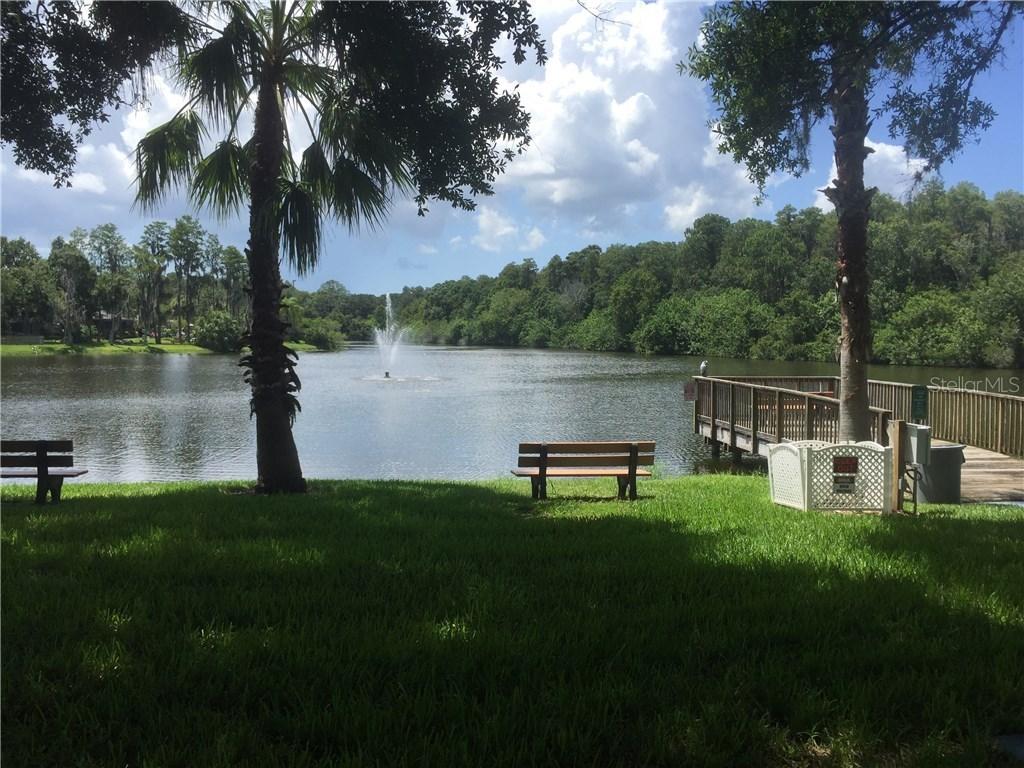 121 Loblolly Ct #G, Oldsmar, FL 34677