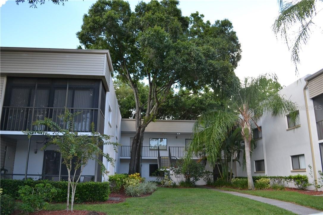 2375 Fox Chase Blvd. #247, Palm Harbor, FL 34683