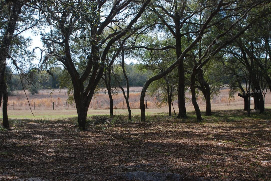 14419 Family Tr., Hudson, FL 34669