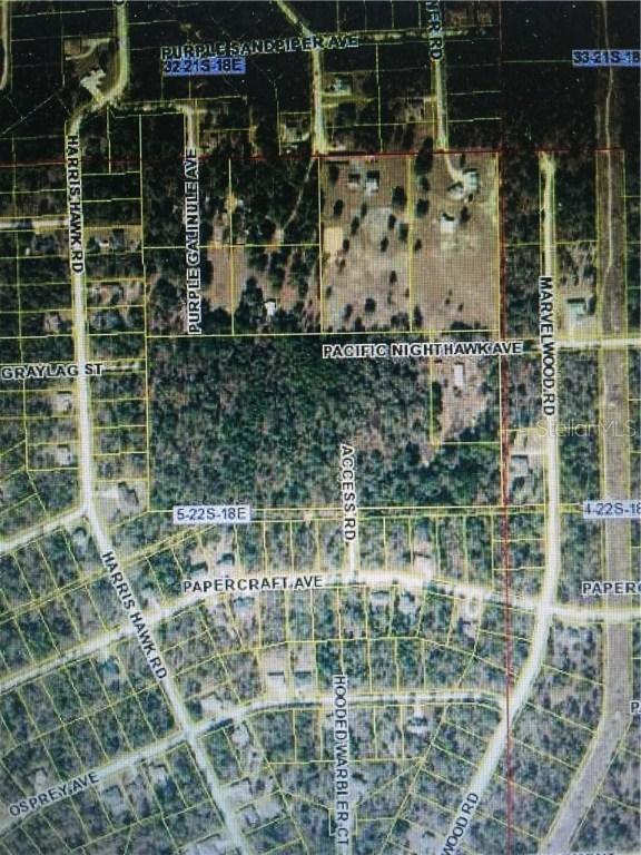 Pacific Nighthawk Ave., Weeki Wachee, FL 34614