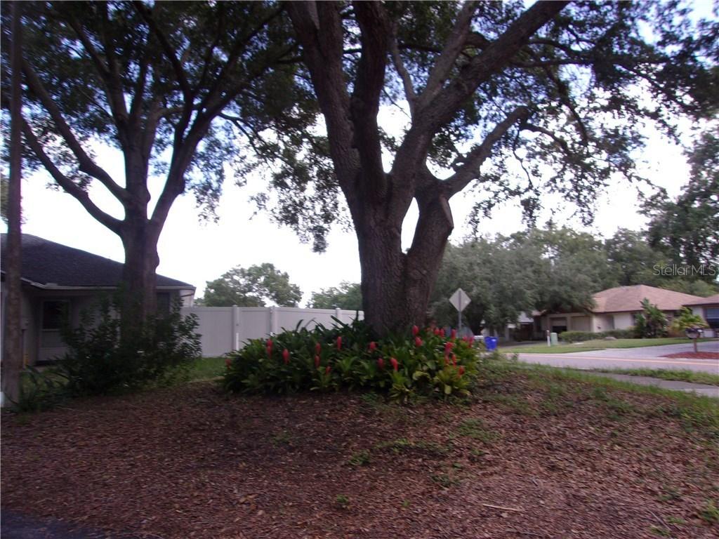 [Address Hidden by Seller], Palm Harbor, FL 34684