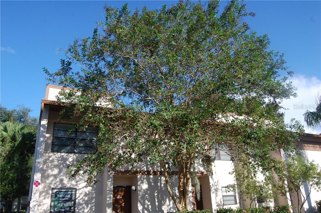 9209 Seminole Blvd Blvd. #82, Seminole, FL 33772