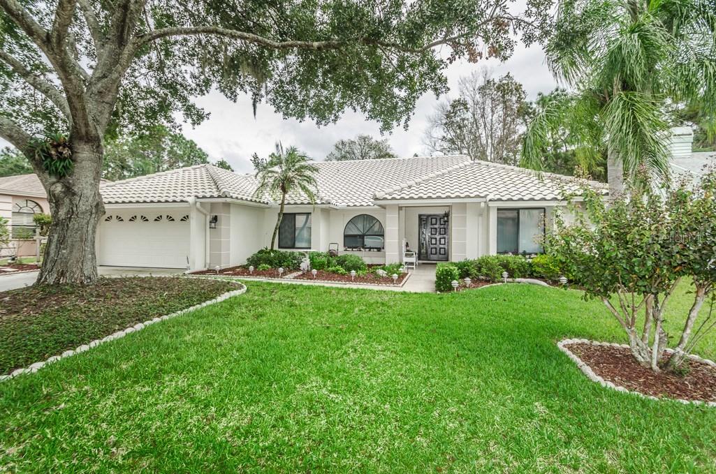 501 Centerwood Dr., Tarpon Springs, FL 34688