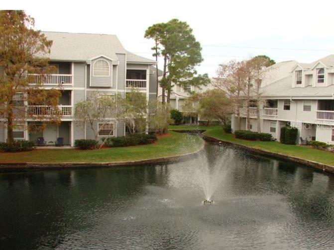 6826 Stonesthrow Cir. #11105, St Petersburg, FL 33710