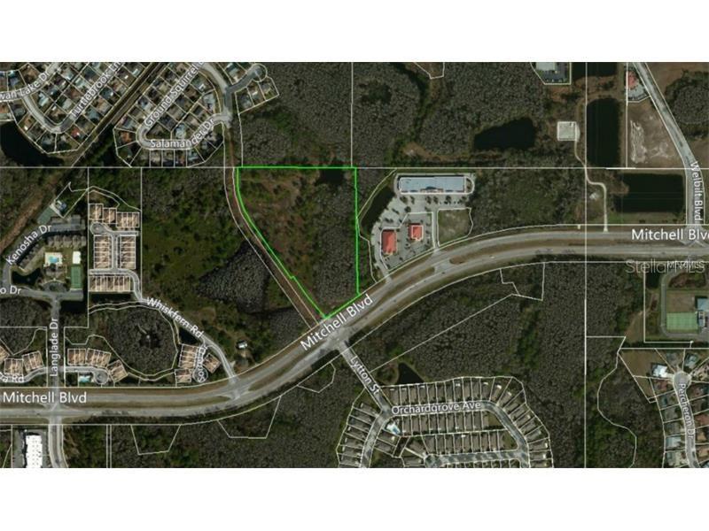 Mitchell Blvd., Trinity, FL 34655