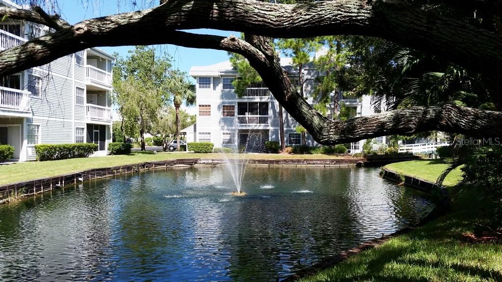 6908 Stonesthrow Cir. #10210, St Petersburg, FL 33710